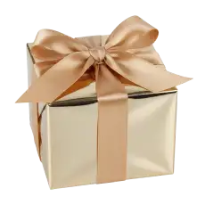 Gift boxes PNG