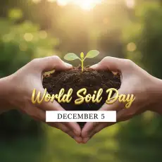 World Soil Day