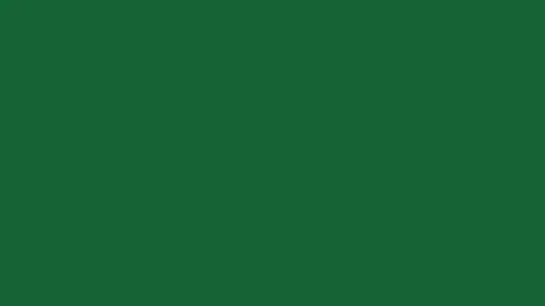 dark green solid color background