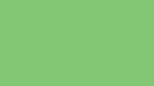 pastel green solid color background