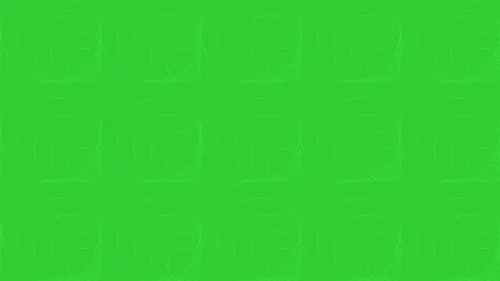 plain green background image