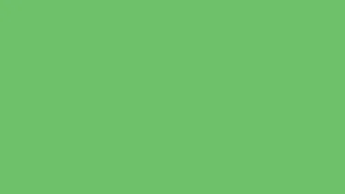 spring green solid color background