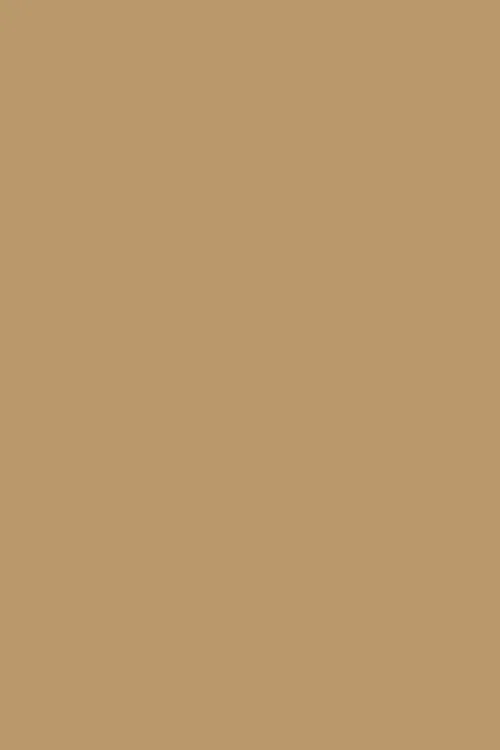 teak solid color background