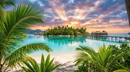 Aesthetic Coconut Tree Wallpaper Hd - Free Summer Aesthetic Wallpaper Download