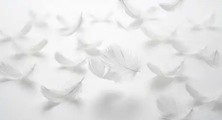 Aesthetic White Background Hd Wallpaper - Free White Download