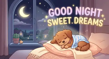 Free Animated Good Night Sweet Dreams Gif Image Download