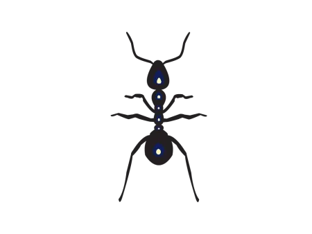 ant-png-vector-psd-clipart-with-transparent-background-photo-for-free-download