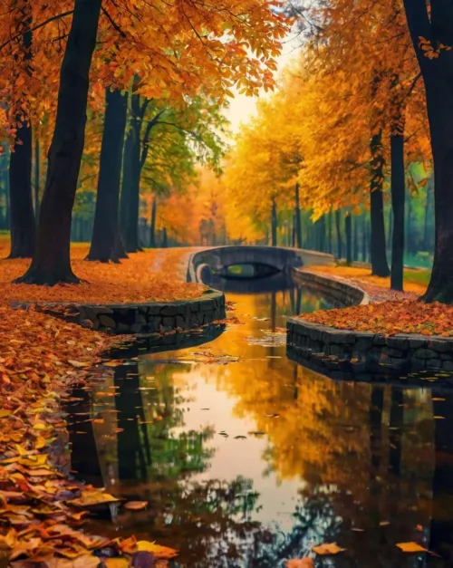 autumn background wallpapers for desktop and mobile