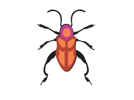 beetle png, vector, psd, clipart with transparent background photo for free download