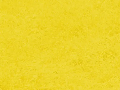 best yellow background 2020