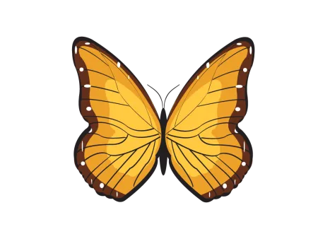 bitterfly png, vector, psd, clipart with transparent background photo for free download