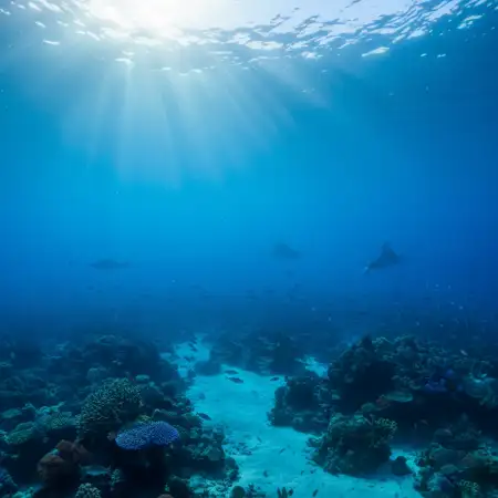 Free Blue Picture Underwater View Background Download