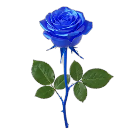 Free Blue Rose Png Transparent Background PNG Image Download