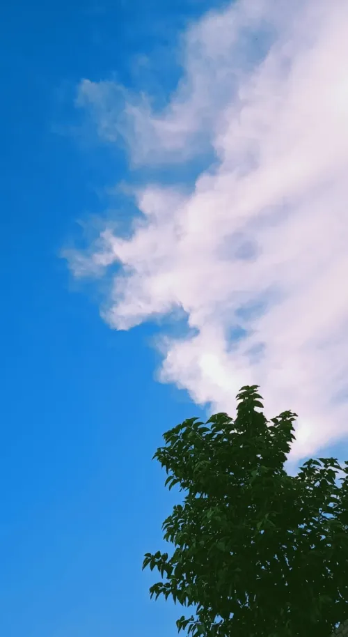 blue sky with clouds background