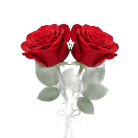 Free Bouquet Of Roses Png Transparent PNG Image Download