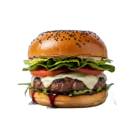 burger png food photography style