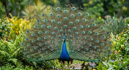 Colorful Nature Hd Wallpaper - Free Nature Hd Wallpaper Download