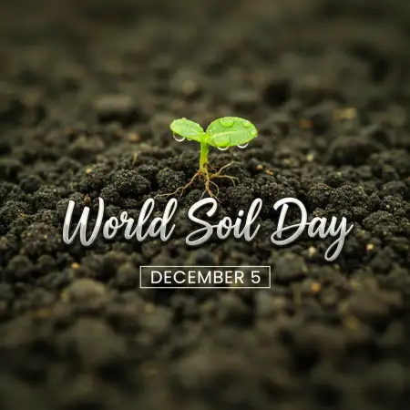 Essay On World Soil Day In English For Students - Free World Soil Day Download