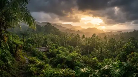 Exotic Tropical Background - Free Tropical Summer Background Download
