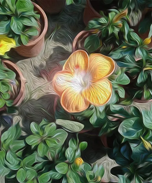 flower with plant oil paint background