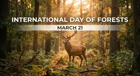 Free Forest Day Facebook Cover Photo Image Download