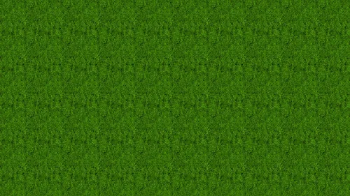 free green grass background images