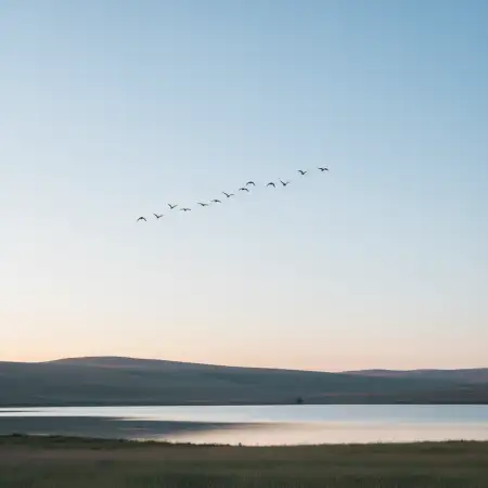 Free Futuristic Blue Technology Background Picture For Design Background Download