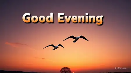 Good Evening Rose Hd Wallpaper - Free Wallpaper Download