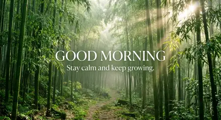 Good Morning Forest Wallpaper - Free Ood Morning Download