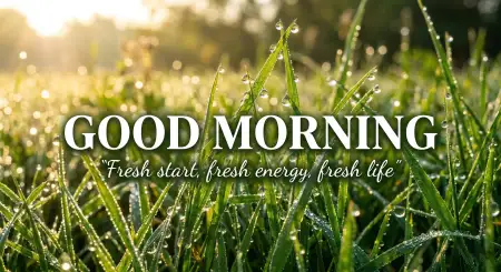Free Good Morning Images With Quotes Hd Download Image Download