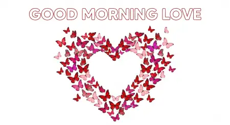 Free Good Morning Love Status Messages For Whatsapp Image Download