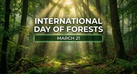 Free Green Forest Nature Poster Design Png Image Download