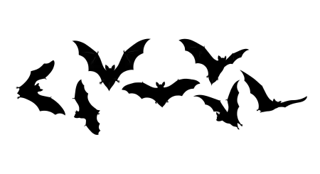 halloween 2026 bat silhouette png transparent - Halloween 2026