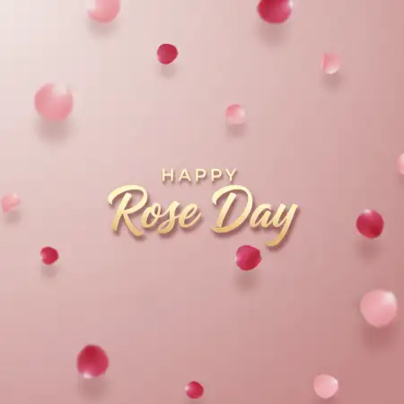 Happy Rose Day Rose Theme Background - Free Happy Rose Day Wishes Download