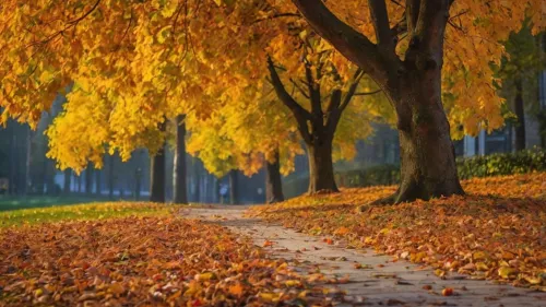 high-resolution autumn background images for download