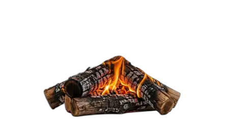 holika dahan wood burning png