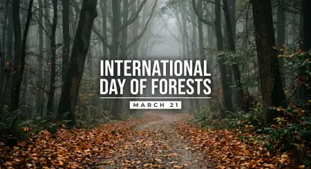 Free International Day Of Forests Essay For Class 5 Image Download