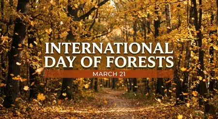 Free International Day Of Forests History And Significance Image Download