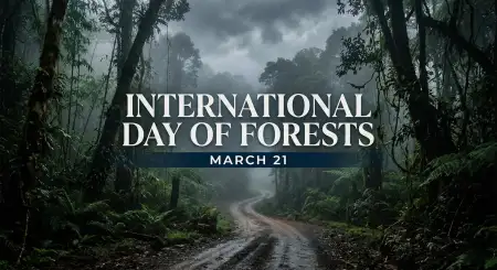 Free International Day Of Forests Png Free Download Image Download