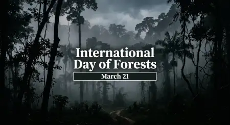 Free International Day Of Forests Short Paragraph Image Download
