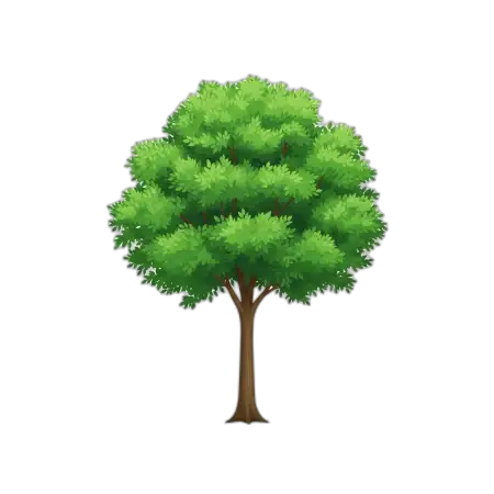 Free Isolated Tree Png Hd PNG Image Download