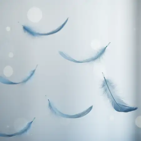 Light Blue Sky Evening Picture With Flying Birds - Free Blue Sky Download