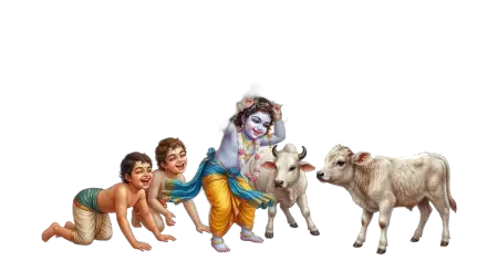 Free Little Krishna Png Transparent Background Janmashtami Transparent PNG Download