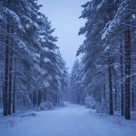 Free Merry Christmas Background Hd For Invitation Card Background Download