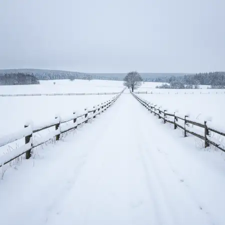 merry christmas background hd night scene