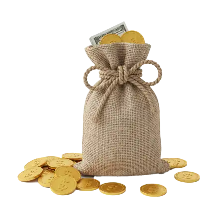 Free Money Bag Png For Ppt Presentation PNG Image Download