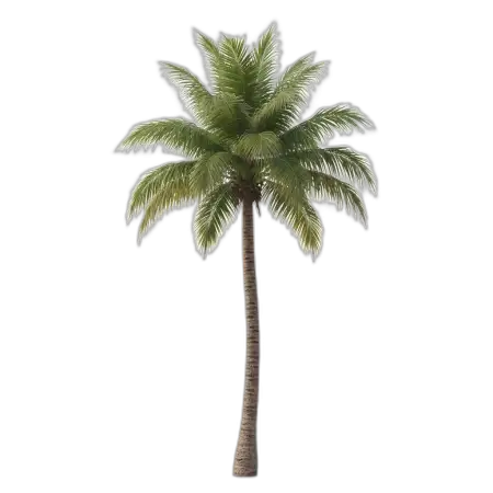 Free Palm Tree Png Transparent PNG Image Download