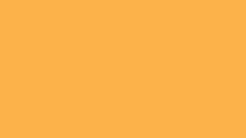  pastel orange solid color background