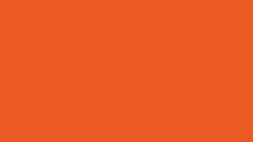 persimmon solid color background