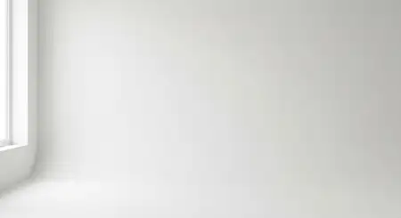 Plain White Background Hd Background Image - Free Plain White Background Hd Download